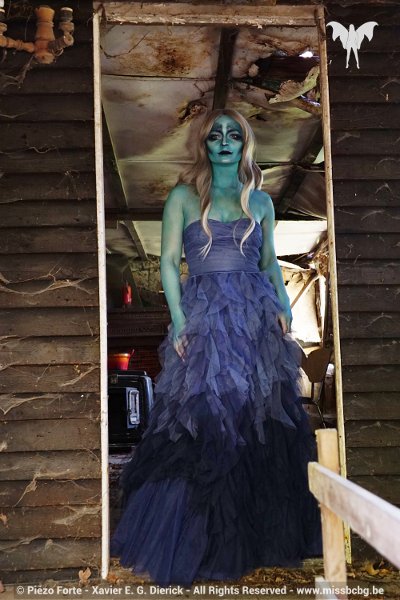 Miss BCBG Eva